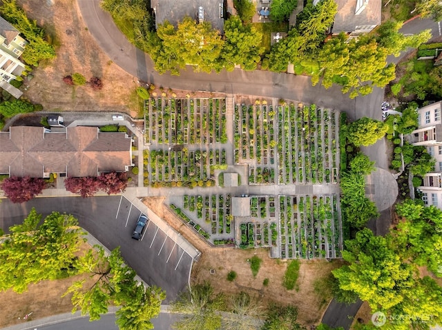 22002 SE 40th Ln Unit 1111, Issaquah, WA 98029 - drone / aerial view