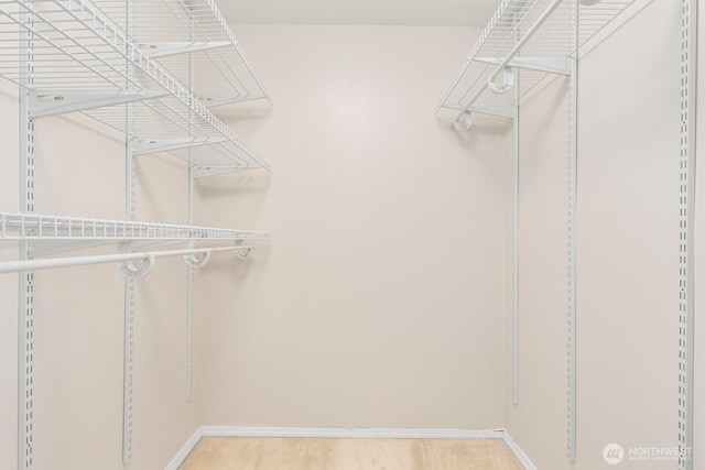 9930 NE 144th Ln Unit 206, Kirkland, WA 98034 - view of spacious closet