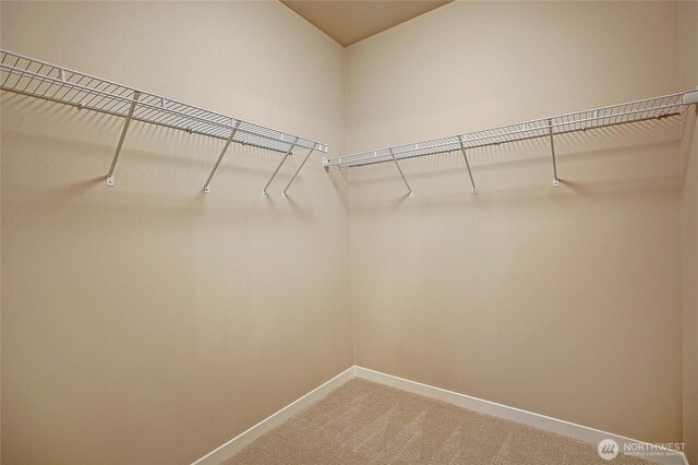 161 N Camano Ridge Rd, Camano Island, WA 98282 - walk in closet featuring light colored carpet