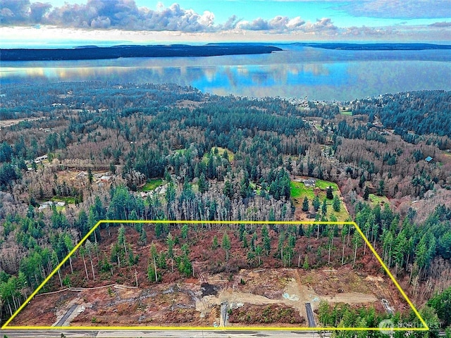 161 N Camano Ridge Rd, Camano Island, WA 98282 - aerial view of property and surrounding area with a heavily wooded area, a nearby body of water, and property parcel outlined