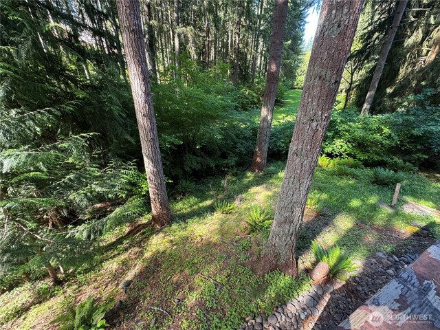 22337 Bluewater Dr SE, Yelm, WA 98597 - view of woods