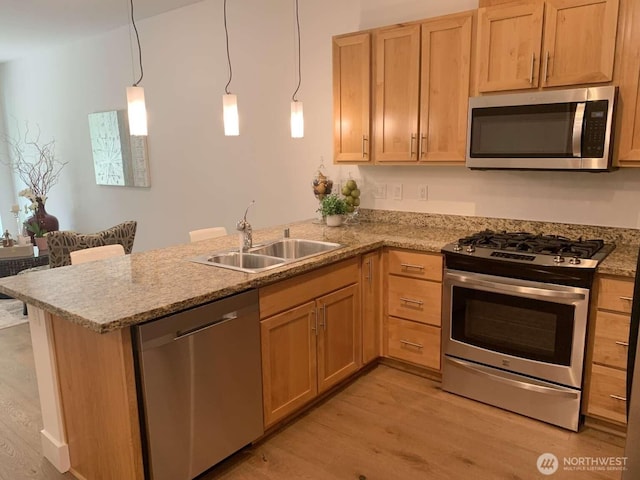 375 Kirkland Ave Unit 145, Kirkland, WA 98033 - kitchen featuring stainless steel appliances, a sink, a peninsula, light wood finished floors, and light stone countertops