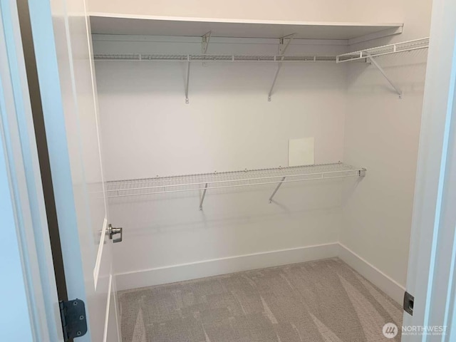 375 Kirkland Ave Unit 145, Kirkland, WA 98033 - walk in closet featuring light carpet