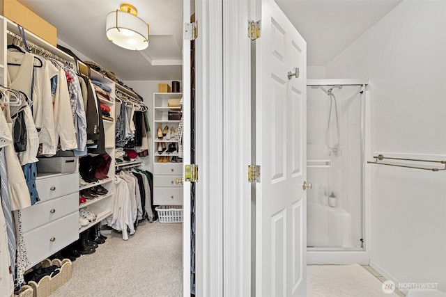 30101 129th Pl SE, Auburn, WA 98092 - view of spacious closet