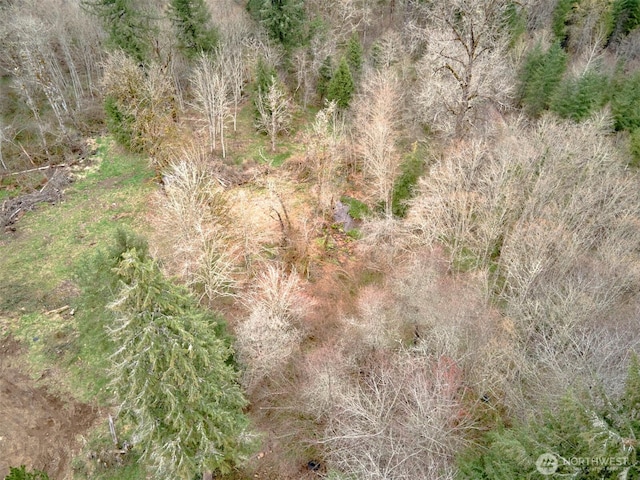 13500 NE 406th St, Amboy, WA 98601 - photo 2