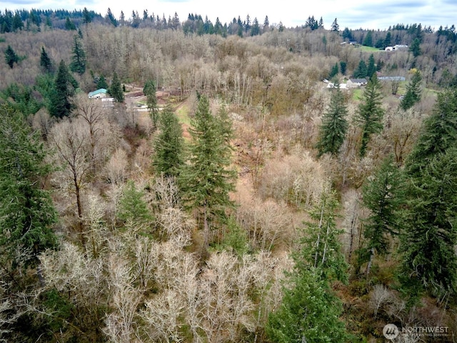 13500 NE 406th St, Amboy, WA 98601 - photo 3