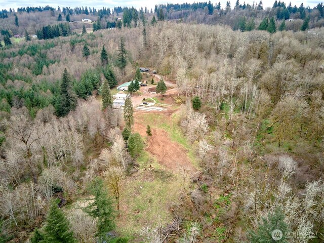 13500 NE 406th St, Amboy, WA 98601 - photo 4