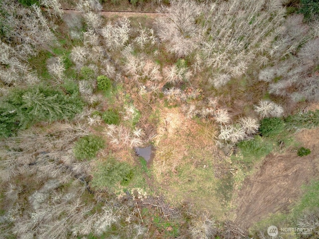 13500 NE 406th St, Amboy, WA 98601 - photo 7