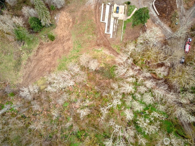 13500 NE 406th St, Amboy, WA 98601 - photo 8