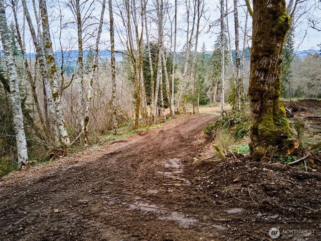 13500 NE 406th St, Amboy, WA 98601 - photo 19