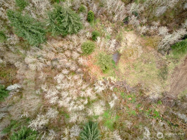 13500 NE 406th St, Amboy, WA 98601 - photo 21