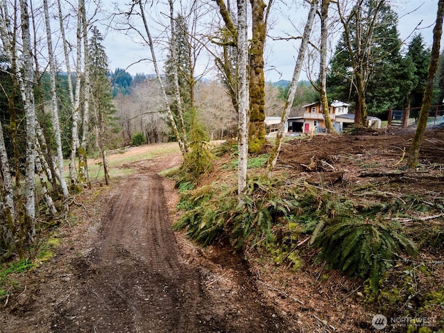 13500 NE 406th St, Amboy, WA 98601 - photo 22