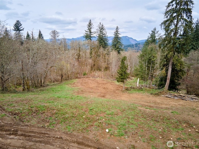 13500 NE 406th St, Amboy, WA 98601 - photo 24