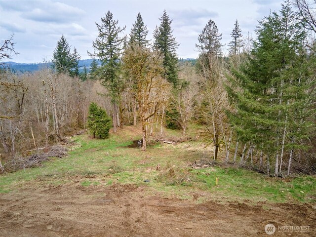 13500 NE 406th St, Amboy, WA 98601 - photo 25