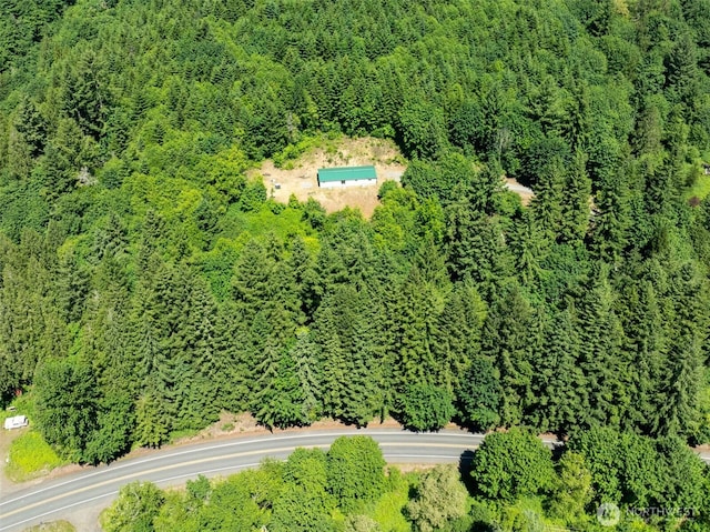 5530 Lewis River Rd, Ariel, WA 98603 - aerial view of property's location with a heavily wooded area