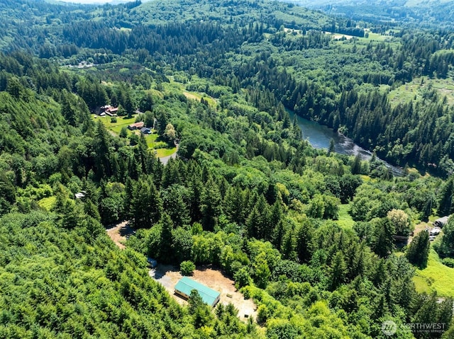 5530 Lewis River Rd, Ariel, WA 98603 - aerial view of a forest