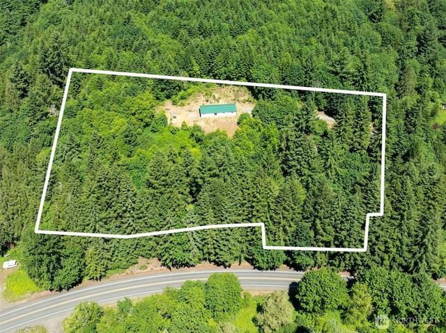 5530 Lewis River Rd, Ariel, WA 98603 - aerial view of property's location with a forest and property boundaries highlighted