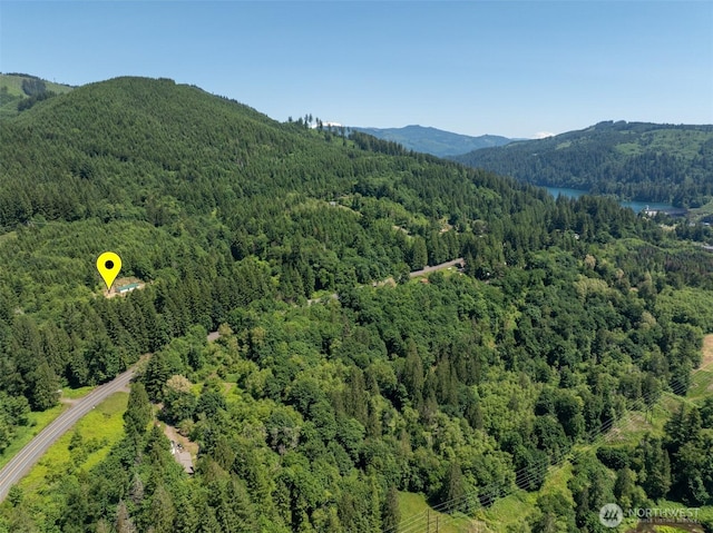 5530 Lewis River Rd, Ariel, WA 98603 - aerial view of a forest and mountains