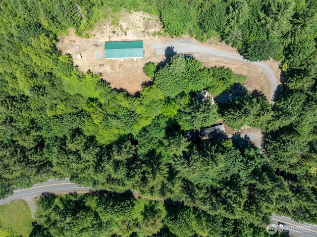 5530 Lewis River Rd, Ariel, WA 98603 - aerial view of property's location