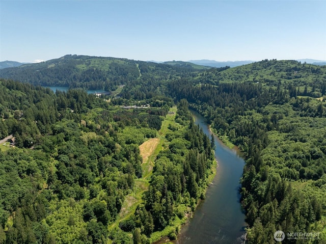 5530 Lewis River Rd, Ariel, WA 98603 - aerial view of a forest and a water and mountain view