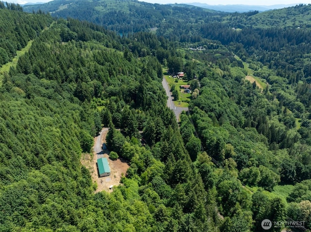 5530 Lewis River Rd, Ariel, WA 98603 - aerial view of property's location with a forest and mountains