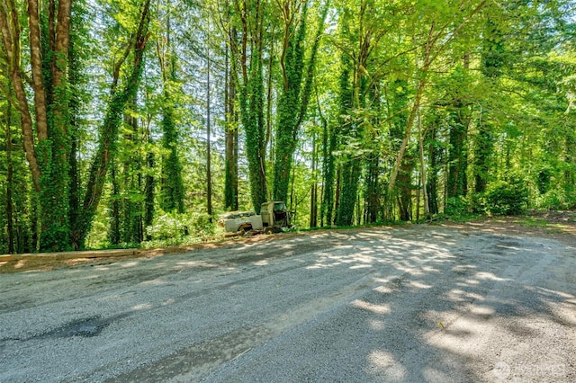 5530 Lewis River Rd, Ariel, WA 98603 - view of road featuring a wooded view