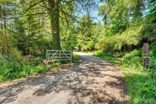 5530 Lewis River Rd, Ariel, WA 98603 - view of dirt / gravel road featuring a view of trees