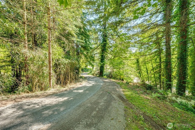 5530 Lewis River Rd, Ariel, WA 98603 - view of street featuring a forest view