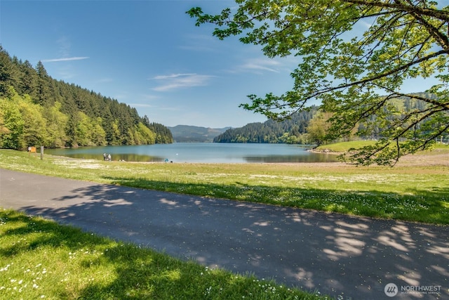5530 Lewis River Rd, Ariel, WA 98603 - water view with a heavily wooded area