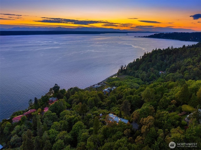 20434 10th Pl SW, Normandy Park, WA 98166 - aerial overview of property's location featuring a nearby body of water and a forest