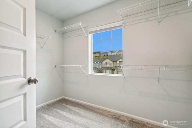 1134 Baker Heights Loop, Bremerton, WA 98312 - spacious closet featuring carpet flooring