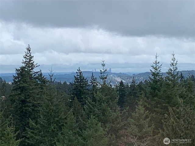 1134 Baker Heights Loop, Bremerton, WA 98312 - photo 38