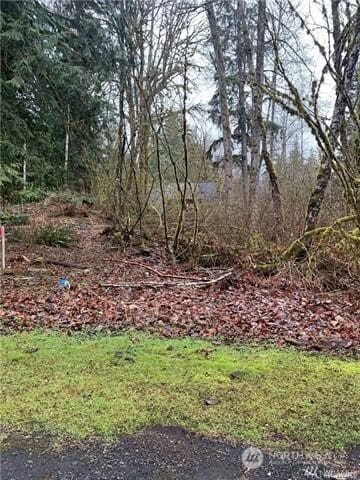 16007 Shuksan Rim Dr, Glacier, WA 98244