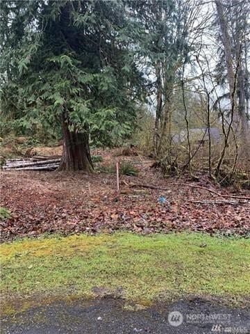 16007 Shuksan Rim Dr, Glacier, WA 98244