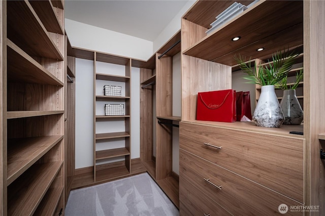 8004 39th Ave SW, Seattle, WA 98136 - walk in closet featuring carpet floors
