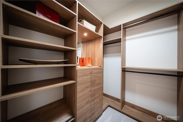 8004 39th Ave SW, Seattle, WA 98136 - view of spacious closet