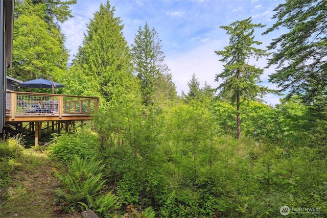 1188 Island Dr, Lummi Island, WA 98262 - view of yard featuring a deck and a forest view