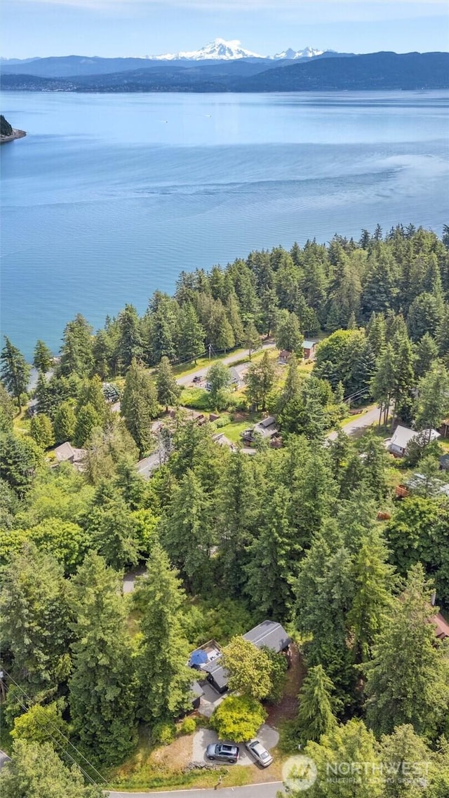 1188 Island Dr, Lummi Island, WA 98262 - bird's eye view of a nearby body of water