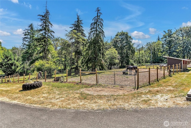 19219 SE 299th Pl, Kent, WA 98042 - view of yard featuring a rural view