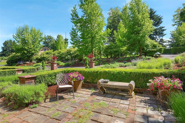 10630 Lundeen Rd SW, Rochester, WA 98579 - photo 29