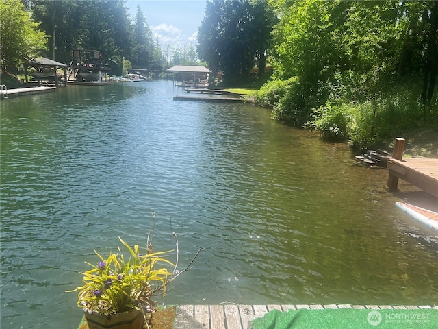 17521 25th Street Ct E, Lake Tapps, WA 98391 - water view