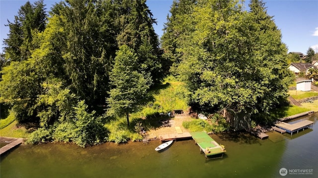 17521 25th Street Ct E, Lake Tapps, WA 98391 - aerial view of a nearby body of water