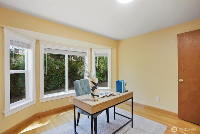 6149 115th Pl SE, Bellevue, WA 98006 - office with healthy amount of natural light, light wood-style flooring, and baseboards