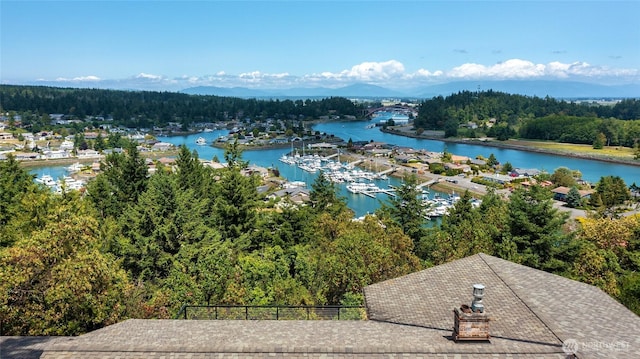 573 Klamath Dr, La Conner, WA 98257 - drone / aerial view of a large body of water and a forest