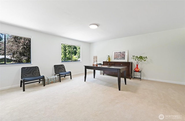 14208 93rd Ave NE, Kirkland, WA 98034 - home office featuring plenty of natural light, carpet flooring, and baseboards