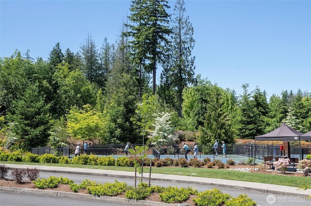 19229 143rd St E, Bonney Lake, WA 98391 - photo 40