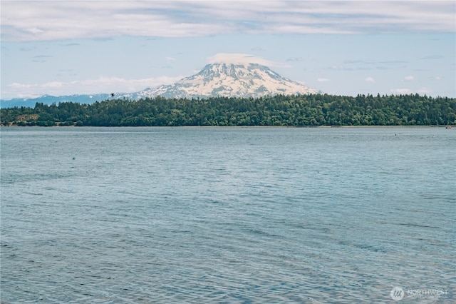 4972 Spokane St NE, Lacey, WA 98516 - water view featuring a forest
