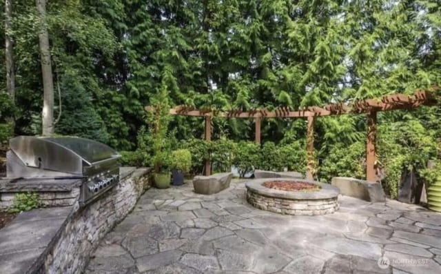 15155 NE 82nd St Unit 103, Redmond, WA 98052 - view of patio with area for grilling and a fire pit