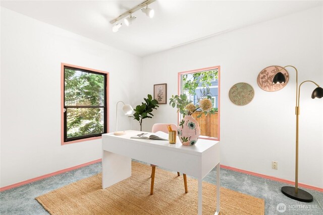 7141 47th Ave SW, Seattle, WA 98136 - home office featuring carpet floors, rail lighting, and baseboards
