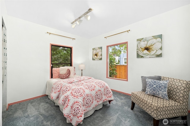 7141 47th Ave SW, Seattle, WA 98136 - photo 10